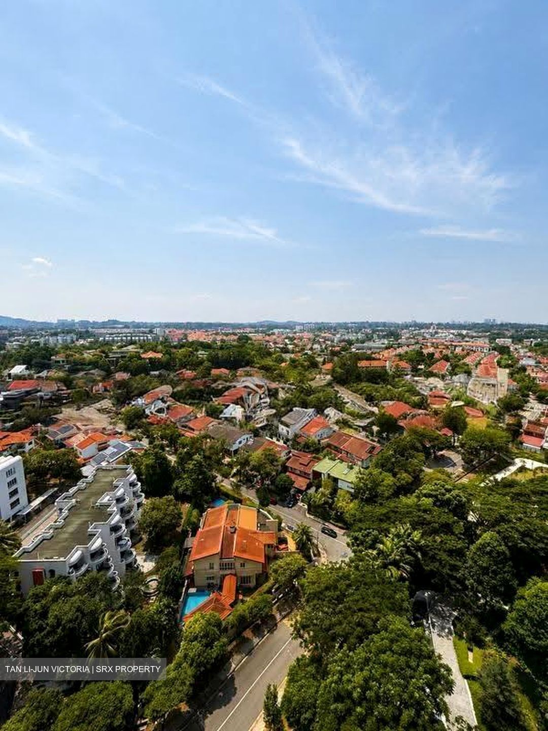 D'Leedon (D10), Condominium #619073681